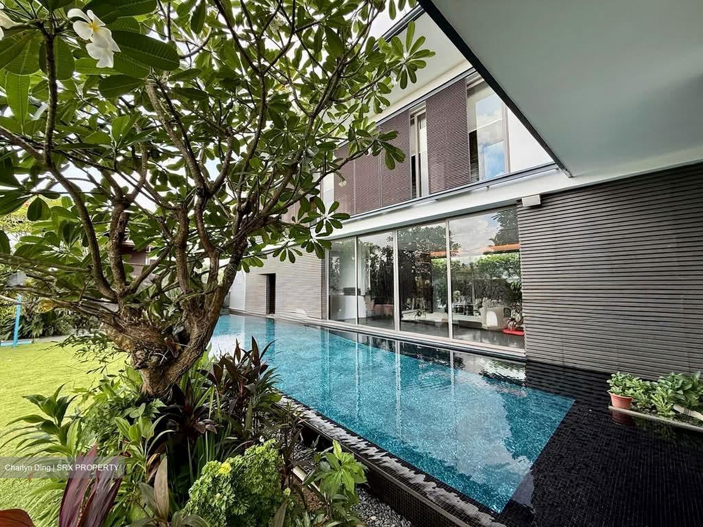 Braddell Heights Estate (D13), Detached #596319051